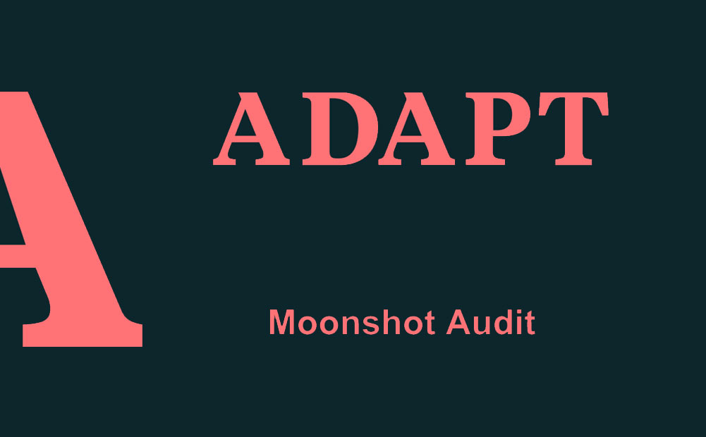Adapt Moonshot Audit